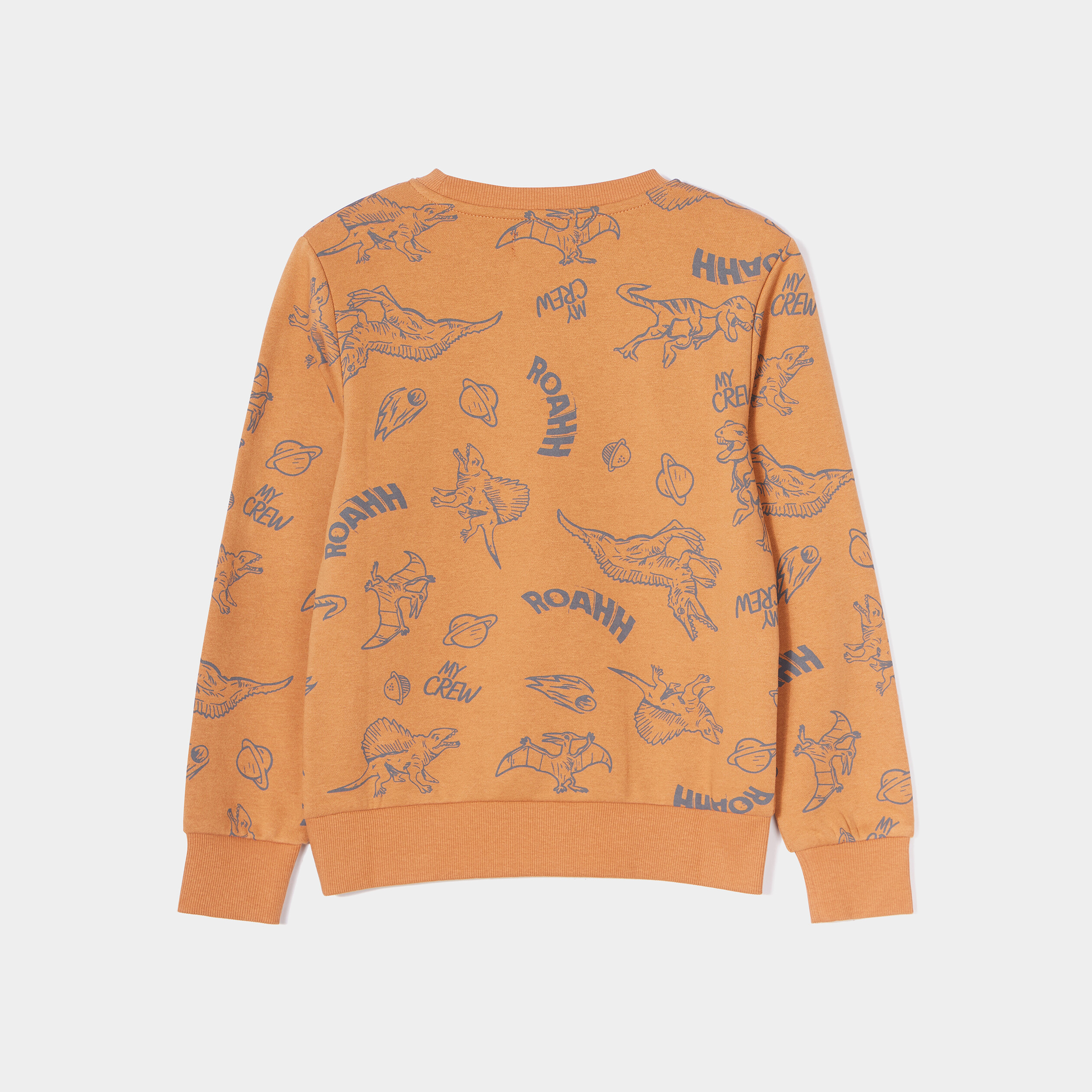sweat manches longues camel garcon Sweat manches longues camel garçon