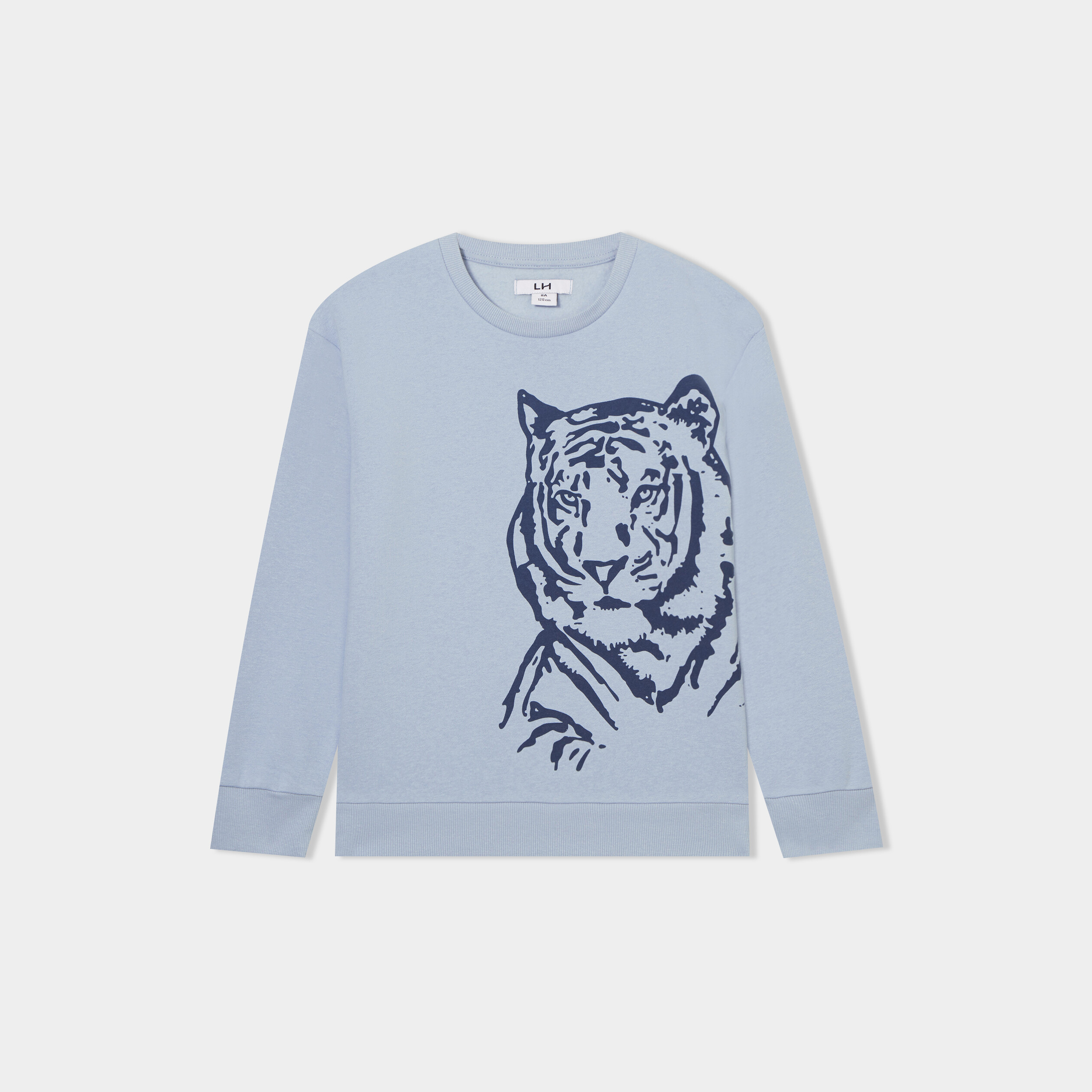 sweat col rond manches longues bleu clair garcon Sweat col rond manches longues bleu clair garçon