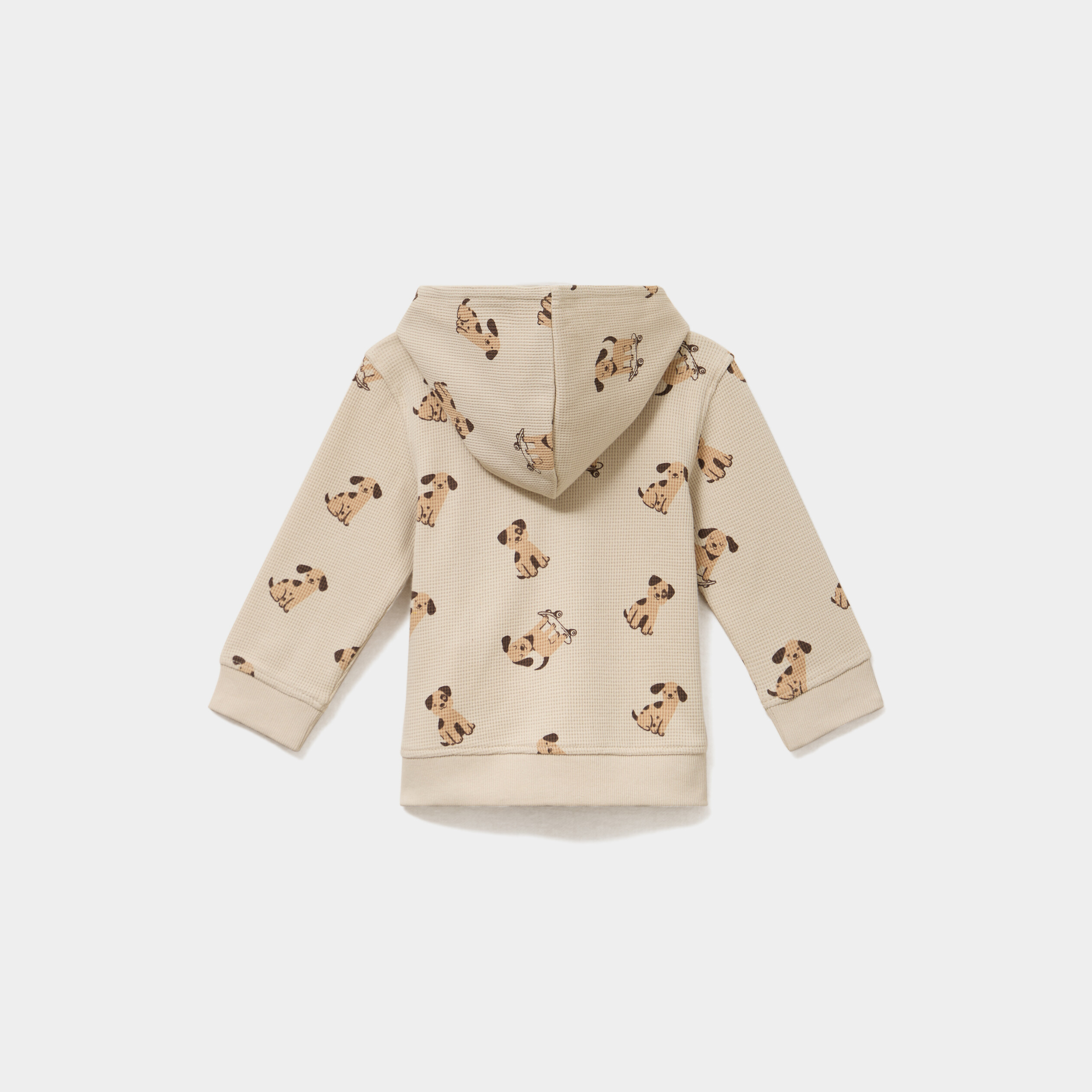 Sweat zipp&eacute; &agrave; capuche coton ecru b&eacute;b&eacute; gar&ccedil;on